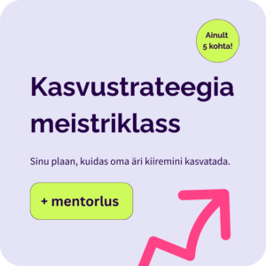 kasvustrateegia meistriklass, äristrateegia loomine