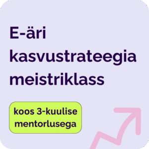 e-äri kasvustrateegia meistriklass mentorlus, edukas e-äri, strateegia loomine
