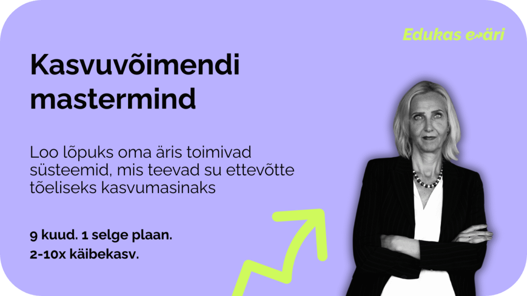 e-äri kasvustrateegia meistriklass, edukas e-äri, strateegia loomine, margit eerma
