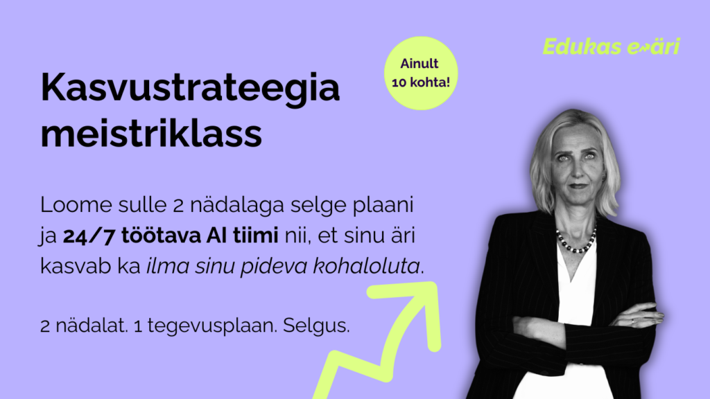 kasvustrateegia meistriklass, äristrateegia loomine
